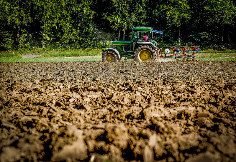 mexico cubriran seguros danos en 36 mil hectareas de bc