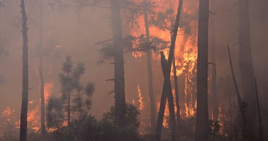 alberta wildfires look to be canadas worst disaster among top 10 worldwide