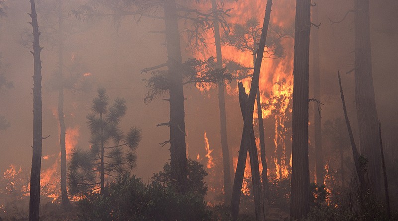 alberta wildfires look to be canadas worst disaster among top 10 worldwide