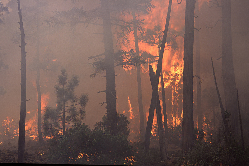 alberta wildfires look to be canadas worst disaster among top 10 worldwide